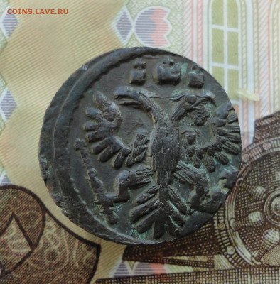 Кладовая полушка 1735 года. До 8.12.22. - DSC03346.JPG