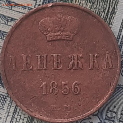 денежка 1856. До 11.12.22. - 20221205_115922
