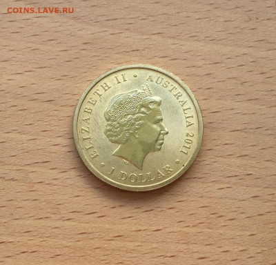 Австралия 1$ доллар 2011 Детёныши диких животных Кенгуру - avstralija_1_dollar_2011_detenyshi_dikikh_zhivotnykh_kenguru_fauna_zhivotnye (1)
