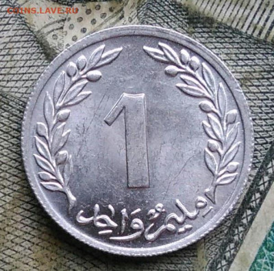 Тунис 1 миллим 1960 года до 09.12.2022 - IMG_20221206_222025