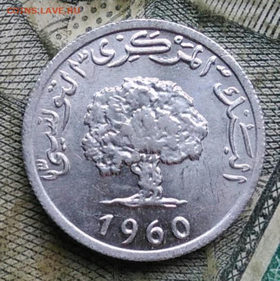 Тунис 1 миллим 1960 года до 09.12.2022 - IMG_20221206_222042