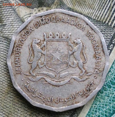 Сомали 10 центов 1976 года до 09.12.2022 - IMG_20221206_222009