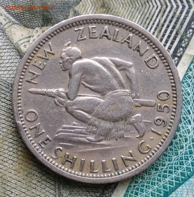 Новая Зеландия 1 шиллинг 1950 года до 09.12.2022 - IMG_20221206_170027