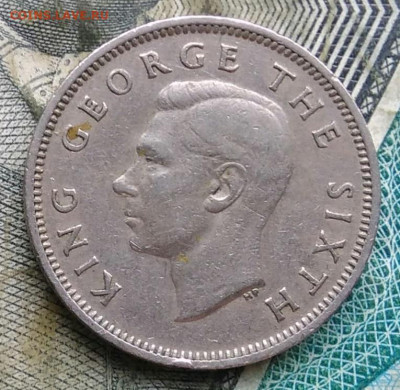 Новая Зеландия 1 шиллинг 1950 года до 09.12.2022 - IMG_20221206_170044
