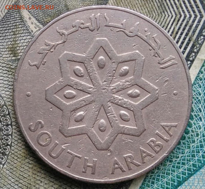 Южная Аравия 50 филс 1964 года до 09.12.2022 - IMG_20221206_170122