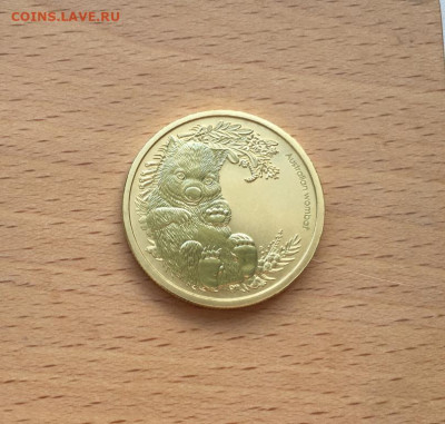 Австралия 1$ доллар 2013 Детёныши диких животных Вомбат - avstralija_1_dollar_2013_detenyshi_dikikh_zhivotnykh_vombat_fauna_zhivotnye