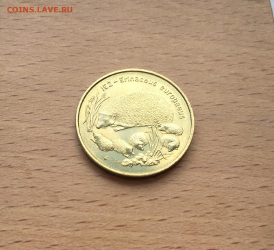 Польша 2 злотых 1996 Ёж фауна животные Еж - polsha_2_zlotykh_1996_ezh_fauna_zhivotnye_ezh (2)