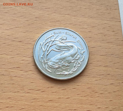 Польша 2 злотых 1995 Сом фауна животные рыба - polsha_2_zlotykh_1995_som_fauna_zhivotnye_ryba (2)