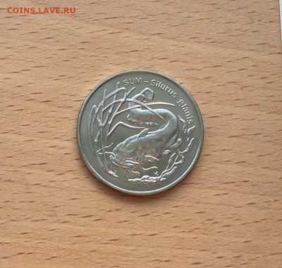 Польша 2 злотых 1995 Сом фауна животные рыба - polsha_2_zlotykh_1995_som_fauna_zhivotnye_ryba