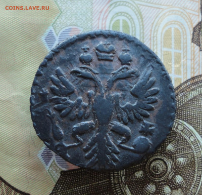 Полушка 1731 года гурт узор? - DSC03430.JPG