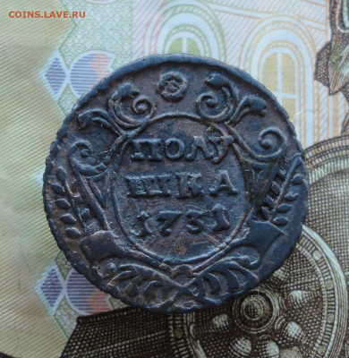 Полушка 1731 года гурт узор? - DSC03427.JPG