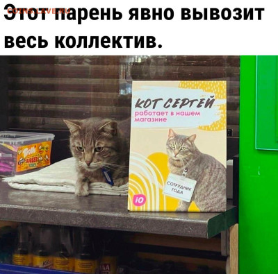 юмор - WhatsApp Image 2022-12-07 at 14.53.06