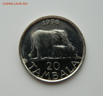 Малави 20 тамбала 1996 г. (Фауна) до 14.12.22 - DSCN5122.JPG