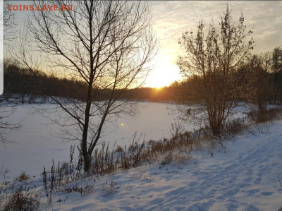 ФОТО - просто фото. Те что получились удачными. - Screenshot_20221204-163802_Gallery