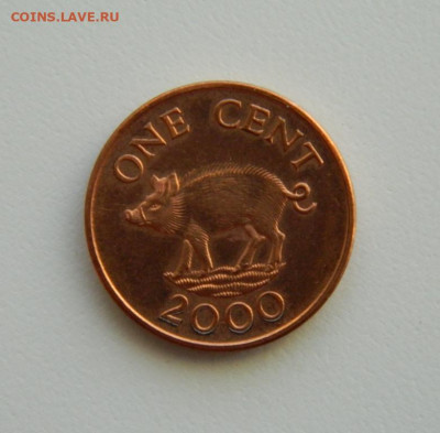 Бермудские острова 1 цент 2000 г. (Фауна). до 14.12.22 - DSCN5068.JPG
