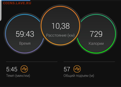 Кто-нибудь бегает? - Screenshot_20221208-214725_Connect