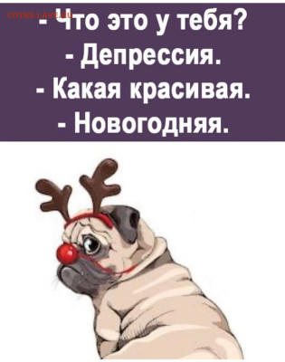 юмор - IMG-20221208-WA0008