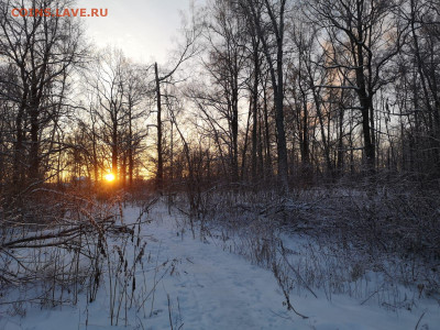 ФОТО - просто фото. Те что получились удачными. - IMG-20221204-WA0008