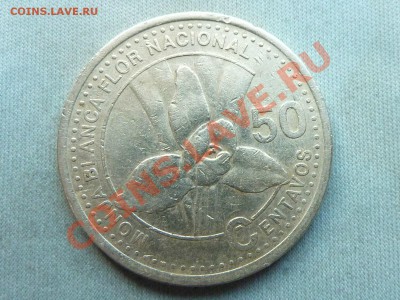 ГВАТЕМАЛА 50с 2001г.ЦВЕТОК  до 11.12.11 в 22-00 - MEMO0033.JPG