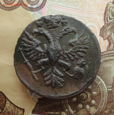 Кладовая денга 1731 года фестивальная розетка №2 До 12.12.22 - DSC03520.JPG