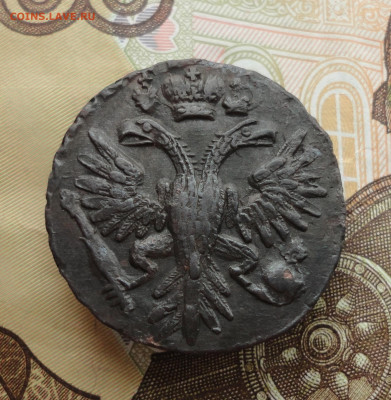 Кладовая денга 1731 года. До 12.12.22. - DSC03473.JPG