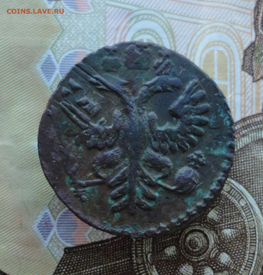 Кладовая полушка 1731 года перечекан №1 До 12.12.22. - DSC03422.JPG