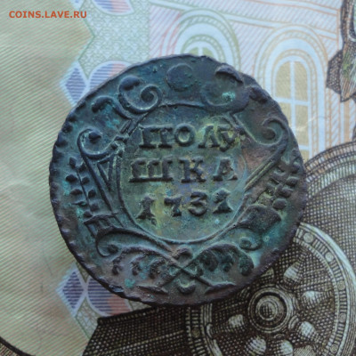 Кладовая полушка 1731 года перечекан №1 До 12.12.22. - DSC03425.JPG