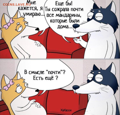юмор - IMG-20221209-WA0002