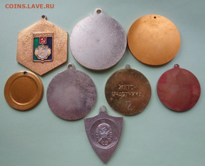 Медали собачьих выставок до 13-12-2022 - 799623485_DSC03890_.JPG.fdb329a50801b40063b574c36c695aff