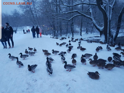 ФОТО - просто фото. Те что получились удачными. - Screenshot_20221210-220751_Gallery