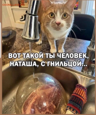 юмор - Screenshot_20221208-193610_Instagram
