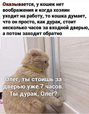 юмор - Screenshot_20221208-065041_Instagram