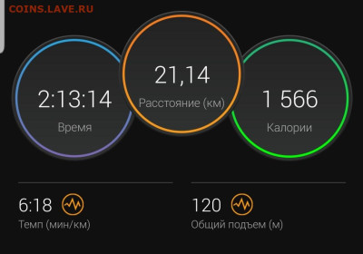 Кто-нибудь бегает? - Screenshot_20221211-102856_Connect