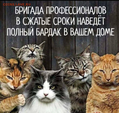 юмор - IMG-20221212-WA0000