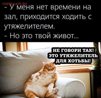 юмор - IMG-20221210-WA0005