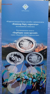 Киргизия. - IMG_20221212_145121