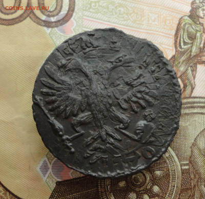 Кладовая денга 1731 года перечекан. До 16.12.22. - DSC03599.JPG