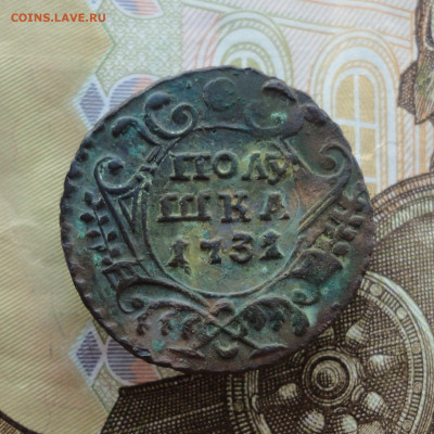 Кладовая полушка 1731 года. До 16.12.22. - DSC03425.JPG