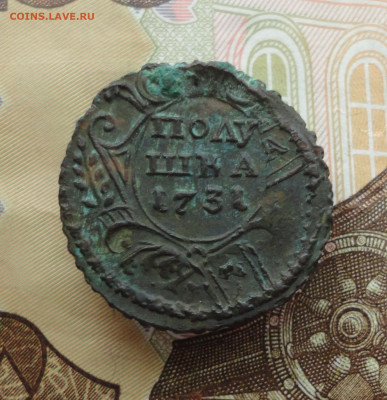 Кладовая полушка 1731 года перечекан. До 16.12.22. - DSC03583.JPG