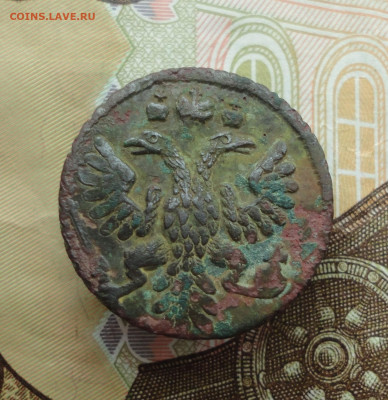 Кладовая полушка 1735 года. До 16.12.22. - DSC03605.JPG