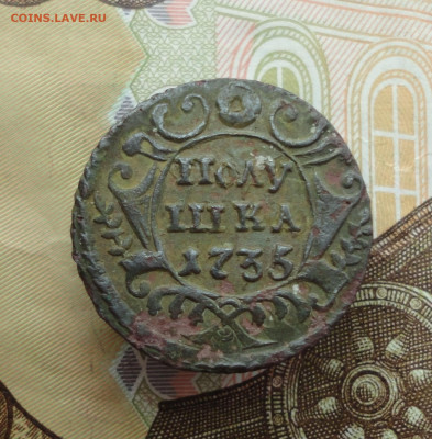 Кладовая полушка 1735 года. До 16.12.22. - DSC03602.JPG