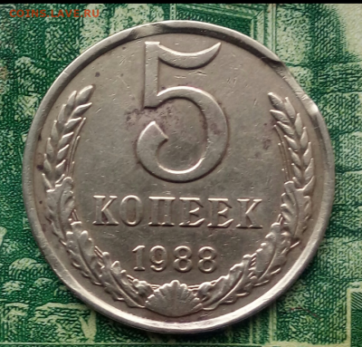 5коп.1988г.(выкус). до 16-12-2022г. - Screenshot_2022-11-28-12-46-47-1