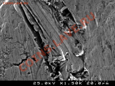 Монеты под микроскопом - 12.C_5.JPG