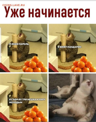 юмор - Screenshot_20221214-173741_Instagram