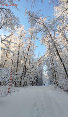 ФОТО - просто фото. Те что получились удачными. - Screenshot_20221215-233059_Telegram