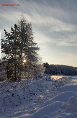 ФОТО - просто фото. Те что получились удачными. - Screenshot_20221215-233036_Telegram