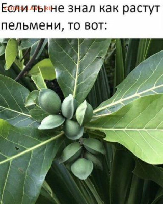 юмор - 210122c