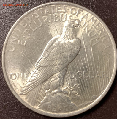 1$ США«PEACE»1922г.в сохране до 19.12.22г.22:15 мск - 6B2850AE-E47D-47ED-8A6C-5F68F4C4BCA9