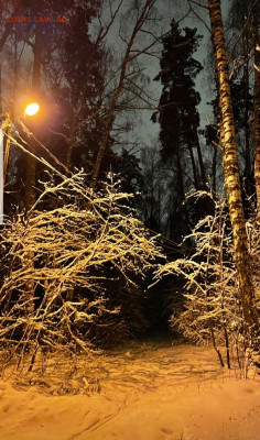 ФОТО - просто фото. Те что получились удачными. - Screenshot_20221217-064824_Instagram