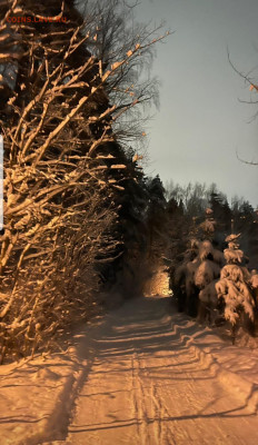 ФОТО - просто фото. Те что получились удачными. - Screenshot_20221217-064815_Instagram